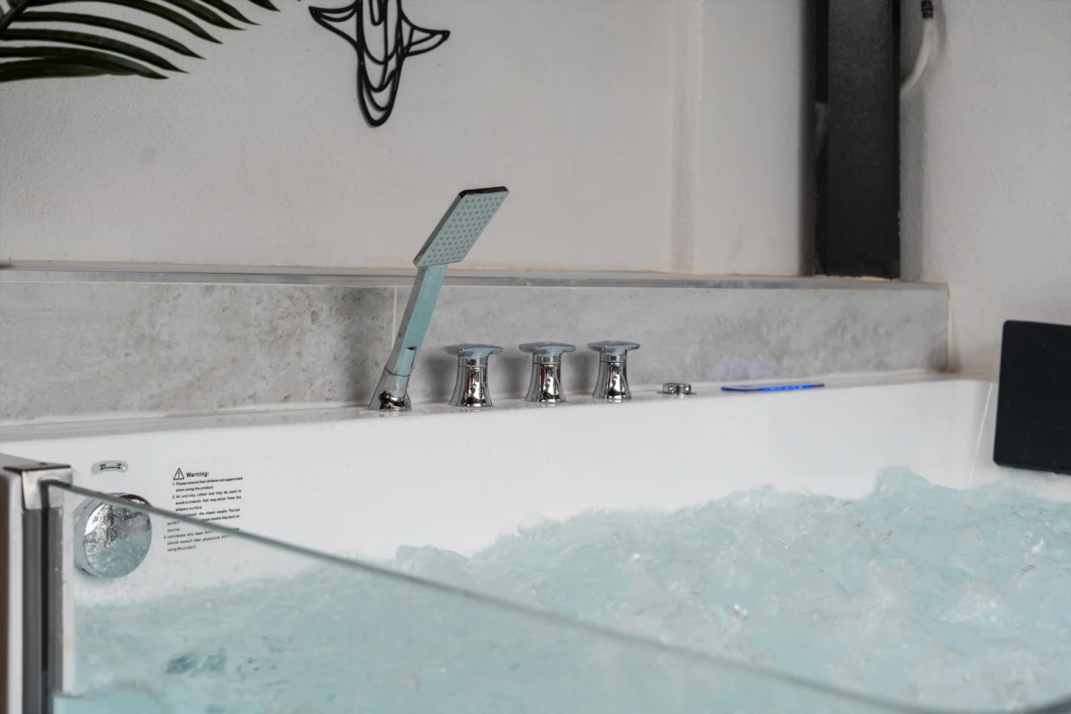 Euphoria jacuzzi hydrotherapy jets